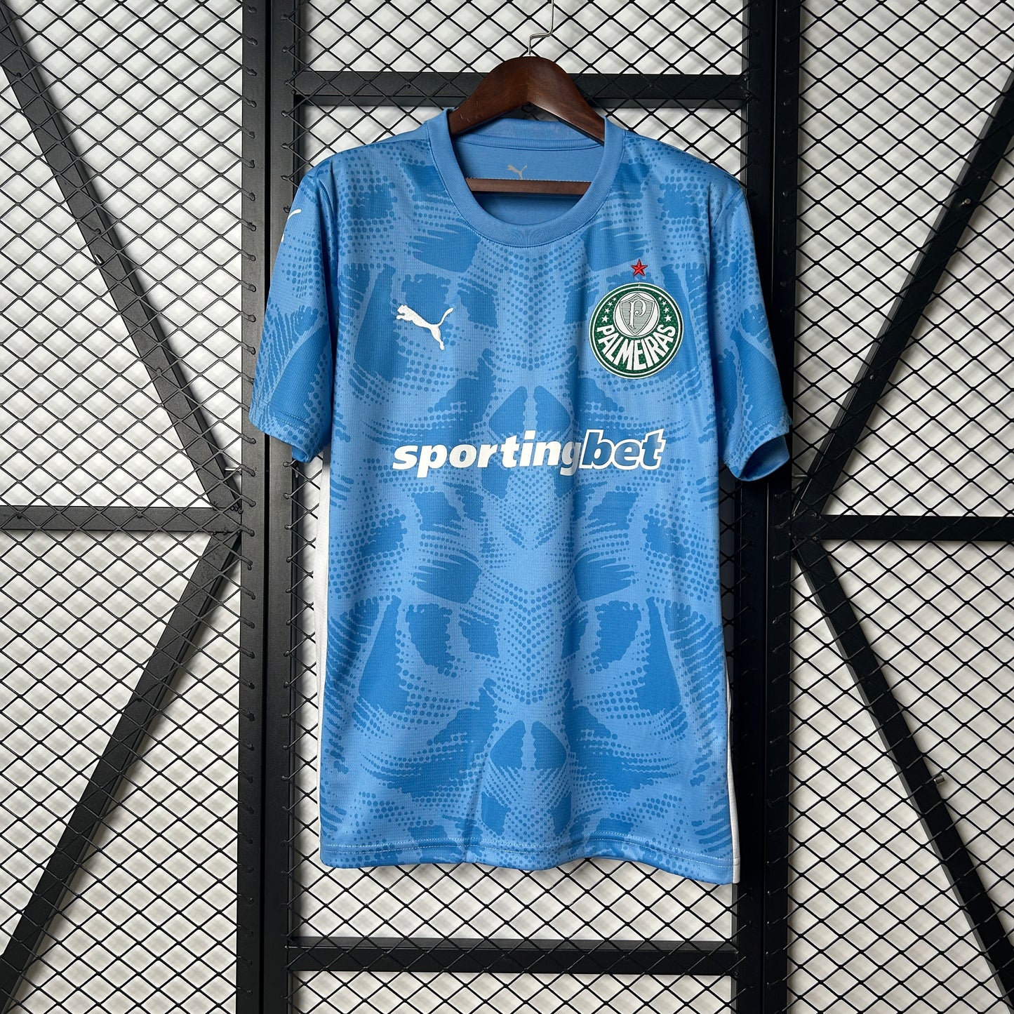 25/26 Palmeiras Goalkeeper soccer Fan Jersey