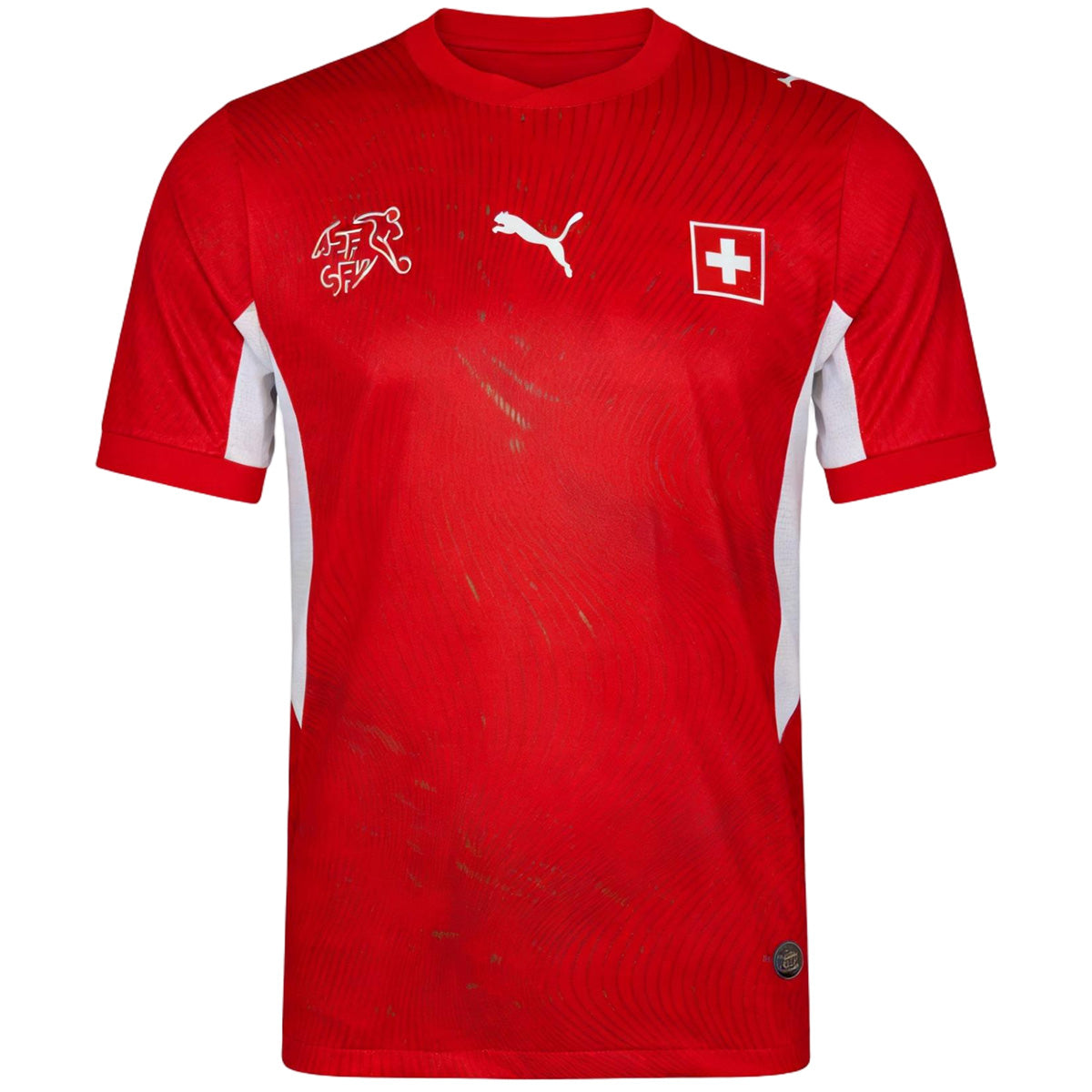 Switzerland National Team jersey