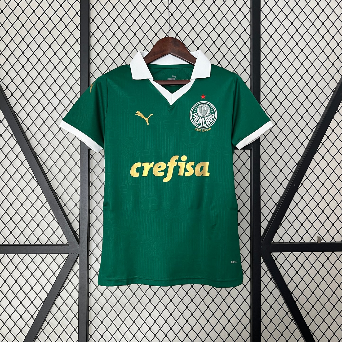 24/25 Palmeiras Home Women Fan Jersey