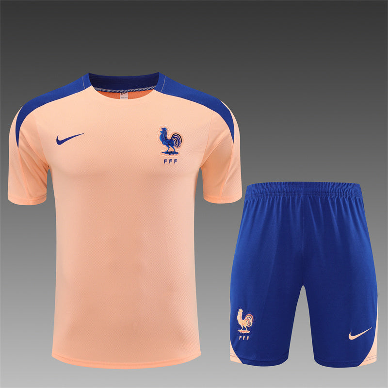 2025 France Pink Training Fan Jersey