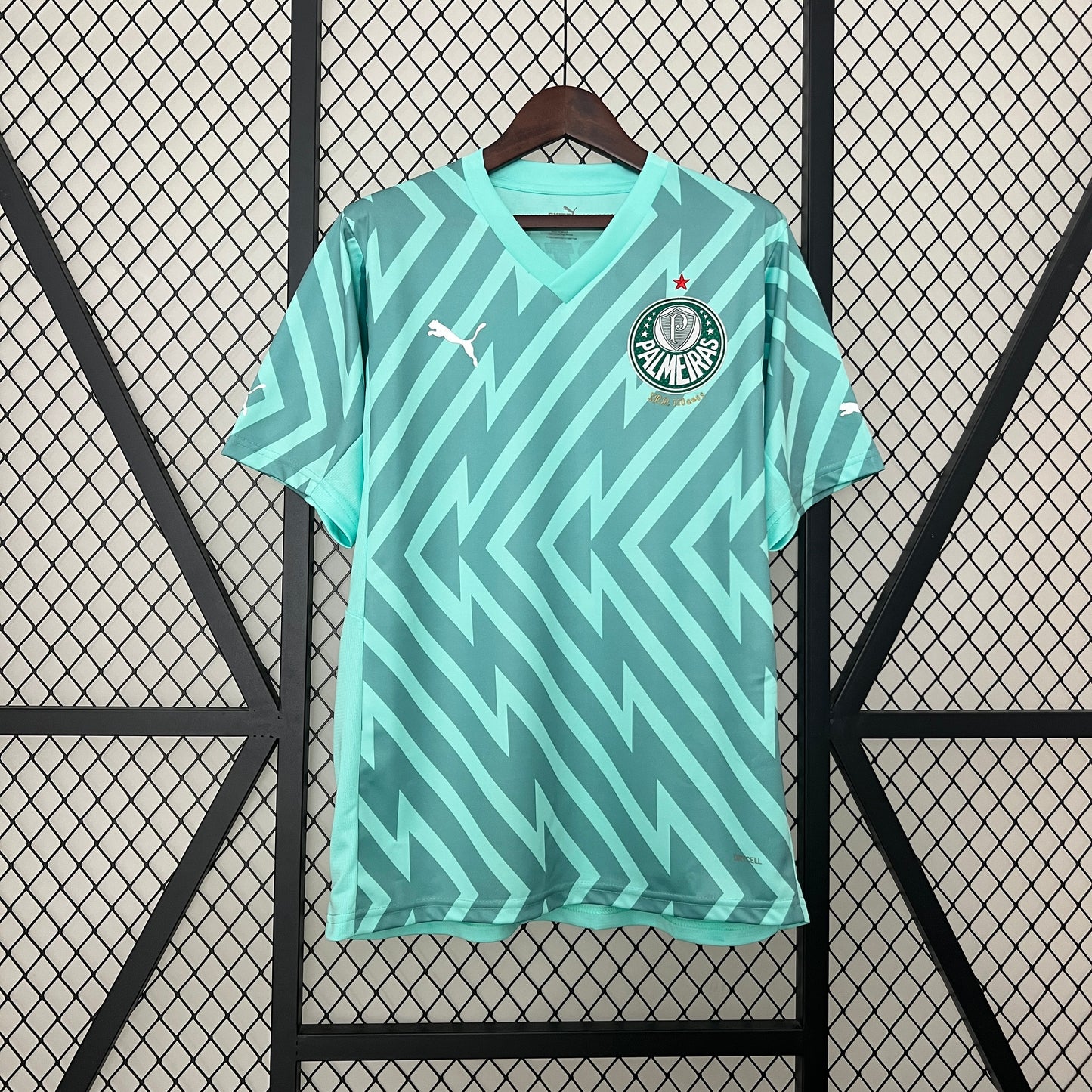 24/25 Palmeiras Goalkeeper Soccer Fan Jersey